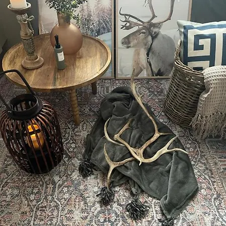 Апартаменты Studio Sagittarius Arctic Circle *